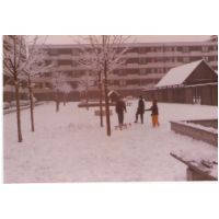 ScanImage031 1973.jpg